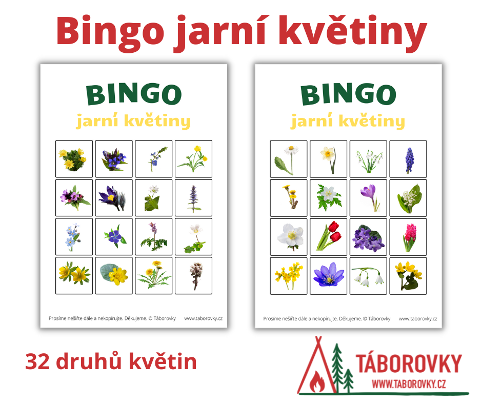 jarní aktivita pro děti na téma jarní květiny - hra bingo